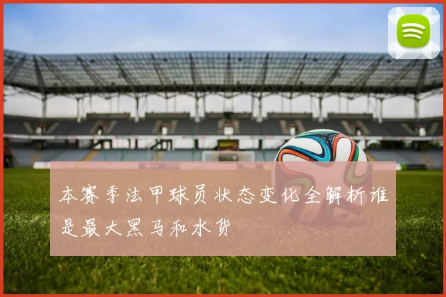 本赛季法甲球员状态变化全解析谁是最大黑马和水货
